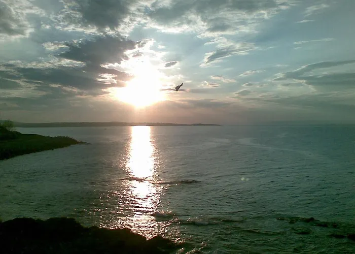 In Complex Lazur 2 * ソゾポル